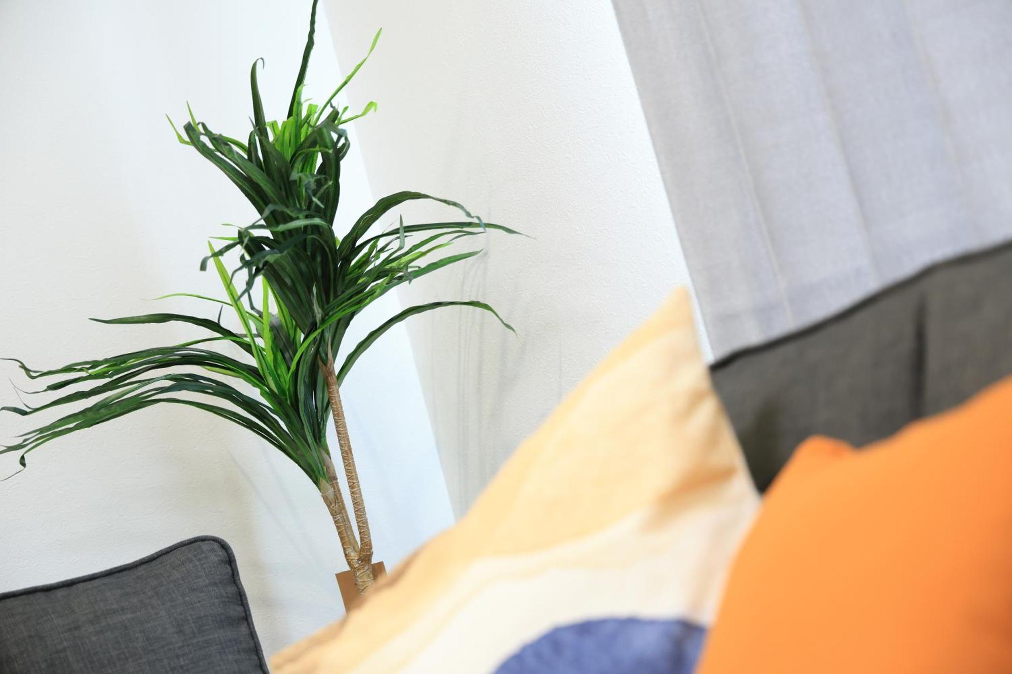 Bliss Ikebukuro Appartement